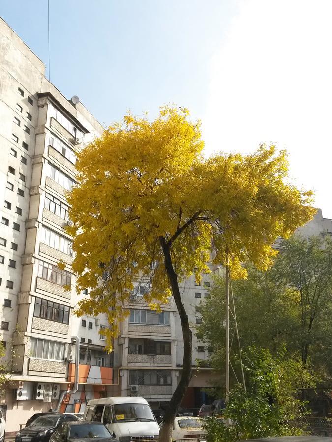 "Арбат" Центр Квартира- Apartment "Arbat" Almaty Extérieur photo